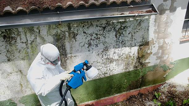 Mold Remediation service in Manchester, Manchester, VA